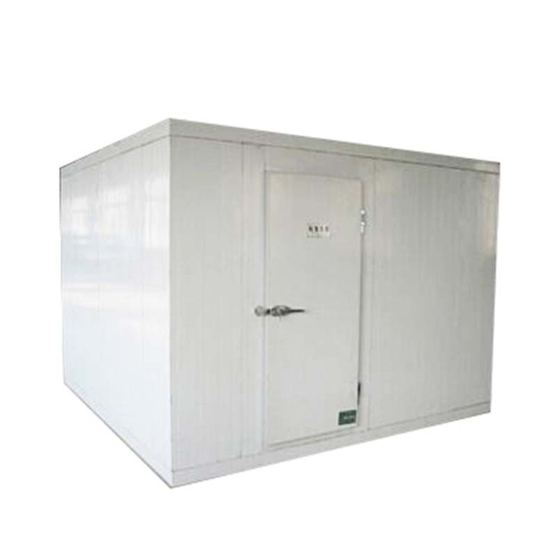 Double - Side Colored Steel Pu Panels Walk In Cold Room Compressor 40ft Storage Container