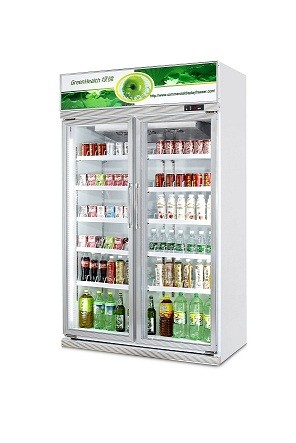 CE Commercial Beverage Cooler Two Glass Door Refrigerator Freezer Display Showcase
