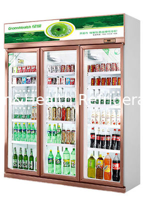 Upright Cooler Commercial Glass Door Refrigerator Cold Drink Beverage Display