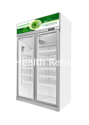 Double Door Commercial Display Freezer Supermarket Refrigerated Showcase