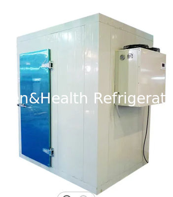 Dynamic Cooling Cold Storage Room Freezing Room Refrigeration Equipment For Fruit Vegetable
