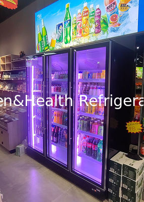 Commercial Vertical Beer Display Cooler Double Door Drinks Refrigerator