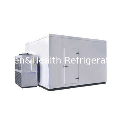 Cold Room Storage Fish Chicken Walk In Freezer About 105 Cubic Meter