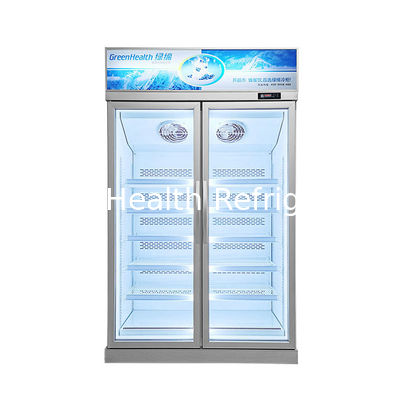 Chain Store Adjustable Shelving 2 Glass Door Freezer for Frozen Food with Fan Cooling