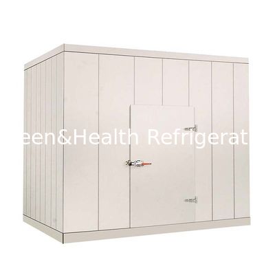 Professional Cold Storage Room for Vegetables Fruits Meat and Fish with Water or Air Cooling