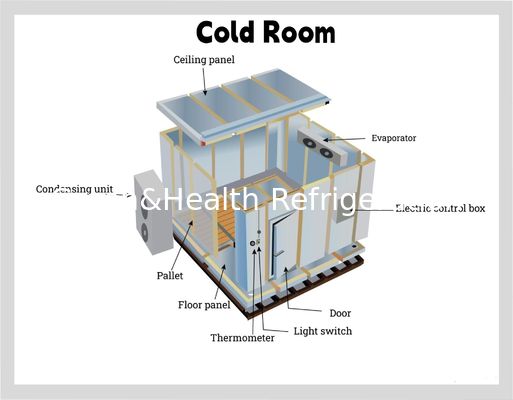 PU Panel Food Cold Storage Room Restaurant Commercial Kitchen Walk In Freezer