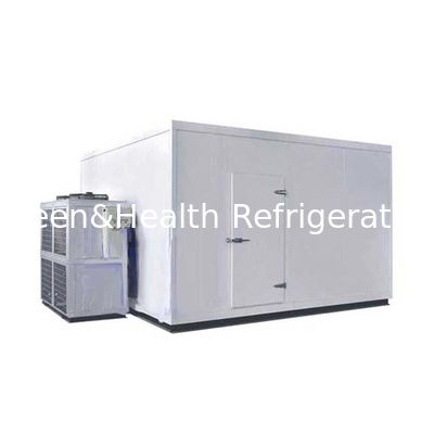 Custom Cold Storage Walk-In Freezer With Smart Temperature Control