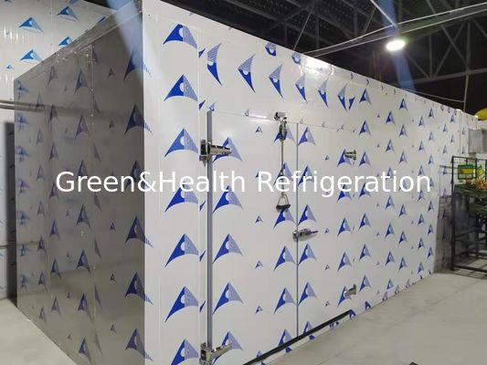 Energy Efficient Cold Room With High Performance PU Panels