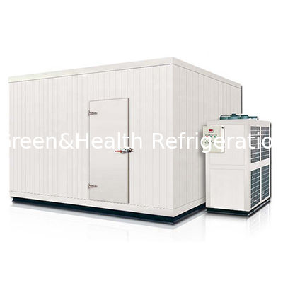 Commercial Food Storage Room Cold Storage Room Indoor Walk-In Freezer With Floor