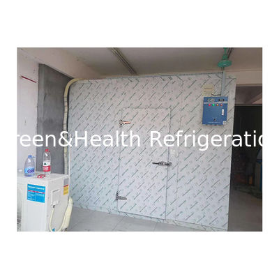 High Quality Locked Large Commercial Storage Cold Storage Cold Room