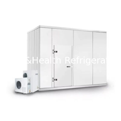 Food Storage Solutions Cold Storage Room Commercial Walk-In Freezer With Customized Temperature
