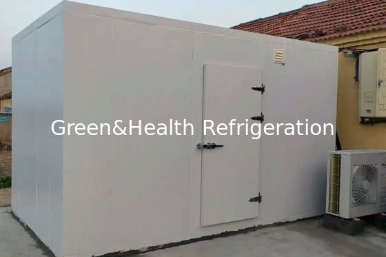 PU Insulation Panel and Air Cooler Evaporator Fish Storage Freezer for Your Business Needs