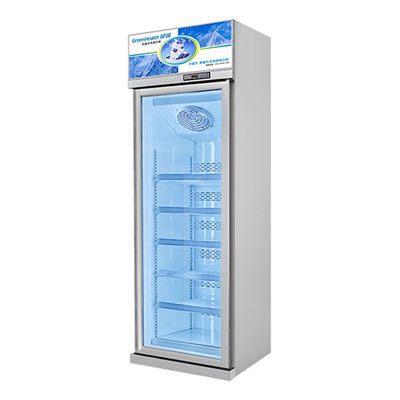 Convenience Store Single Door Commercial Refrigerated Storage Display Freezer