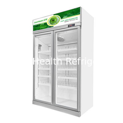 Economy Beverage Refrigerated Storage Display Freezer With Two Glass Doors