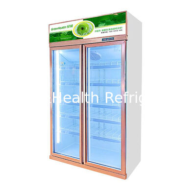 Commercial Beverage Display Freezer with Two Defogging Glass Doors and Top-Mounted Cooling System 1154L Capacity