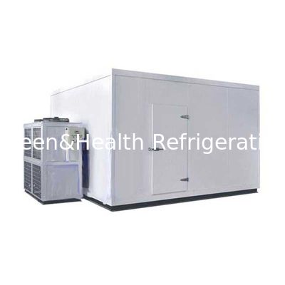 Customized Size Blast Chiller Freezer Warehouse Cold Container Copeland Compressor