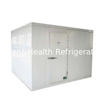 Double - Side Colored Steel Pu Panels Walk In Cold Room Compressor 40ft Storage Container