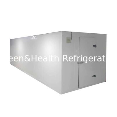 Supermarket Or Restaurant Commercial Cold Storage Room For Vegetable Ce Rosh