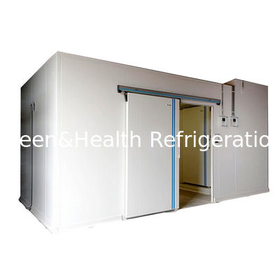 Single Temperature Deep Freezer Frozen Cold Storage Room For Meat And Fish Seafood