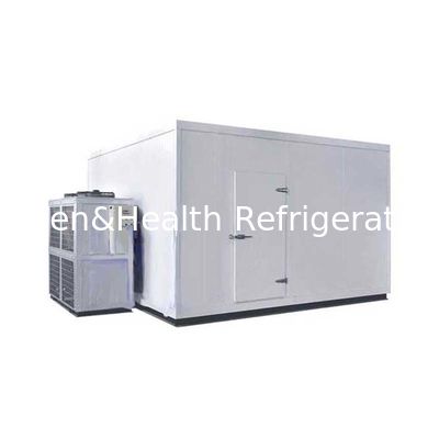 Walk In Refrigerator Freezer Cold Room For Fresh Frozen Food 1 Year Warranty