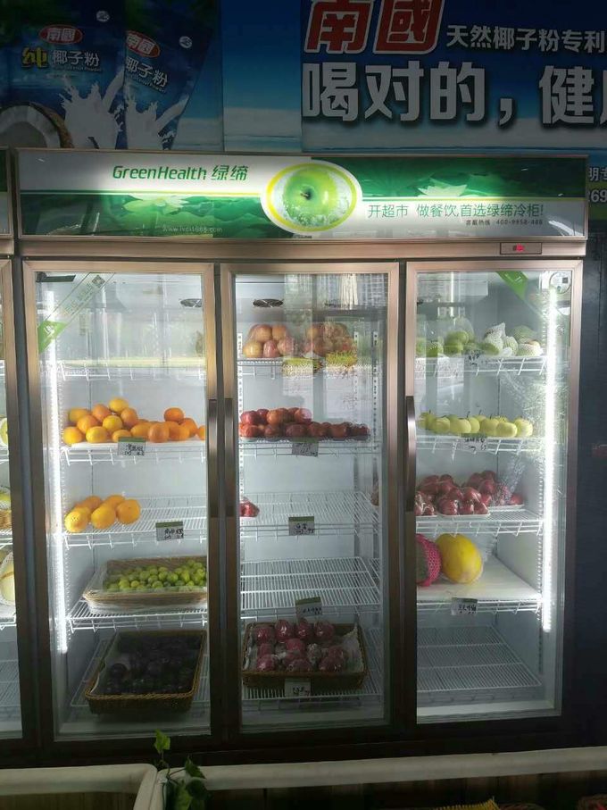 Commercial Upright Beverage Display Fridge For Cold Drinks / Meat 540W